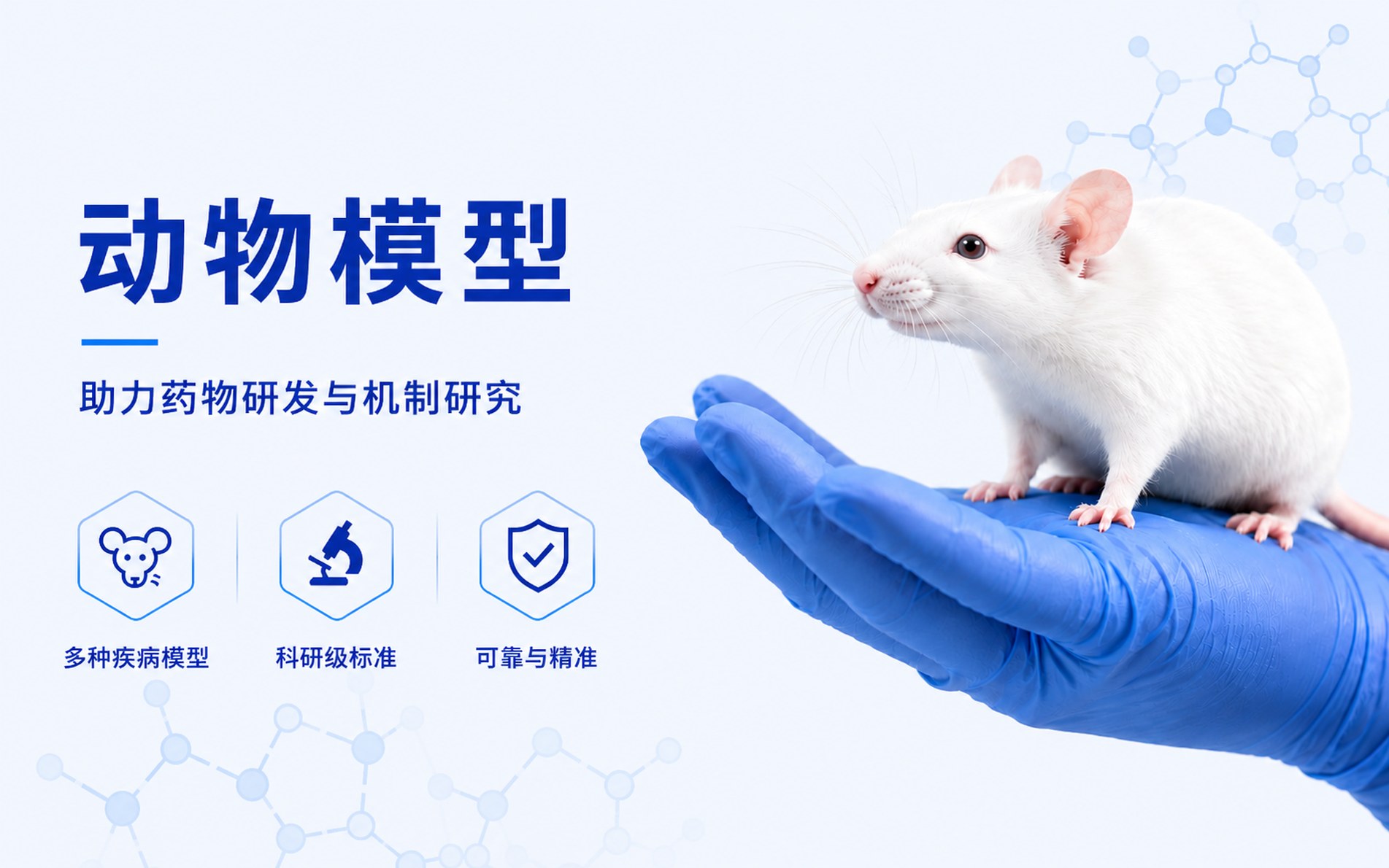 动物模型平台